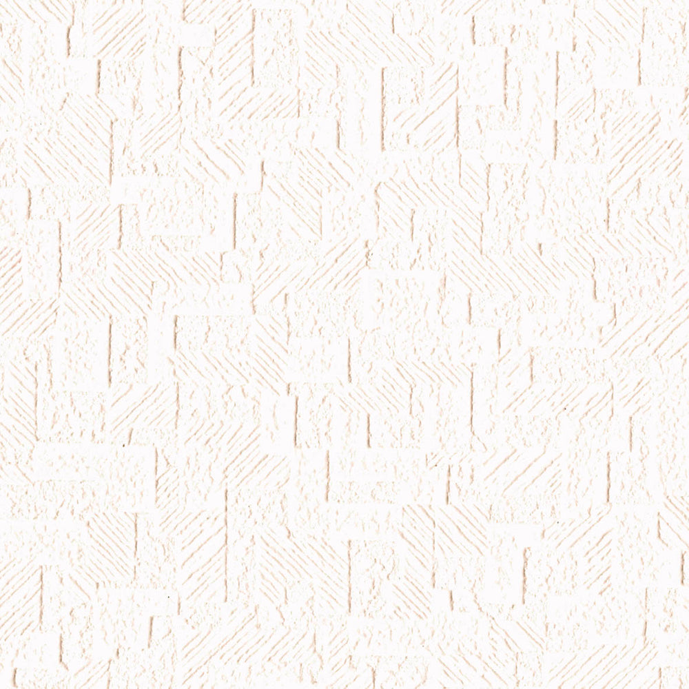 幾何学模様(天井)|LV3196|サンプル