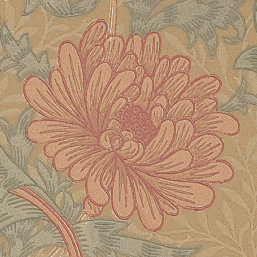 Chrysanthemum|LIS42016|輸入壁紙(糊なし)