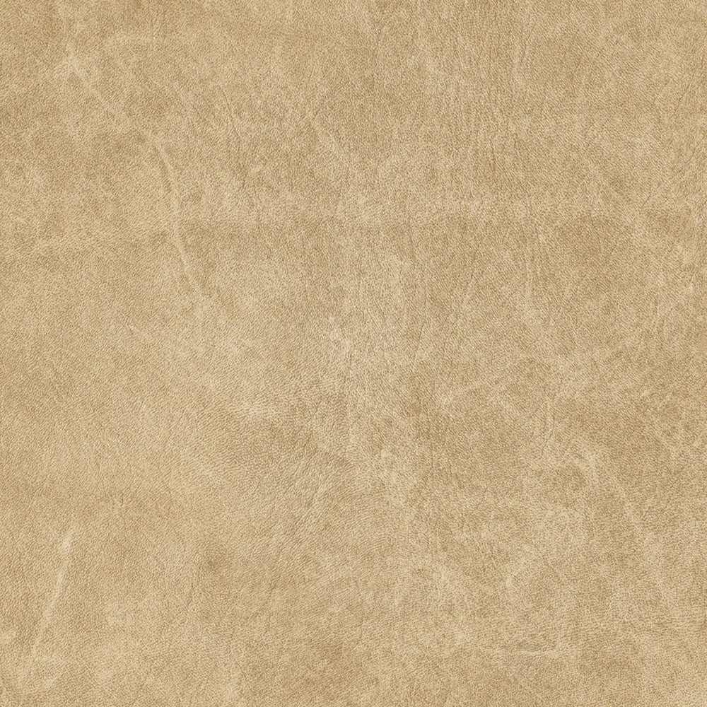 レザー|LL6007|サンプル