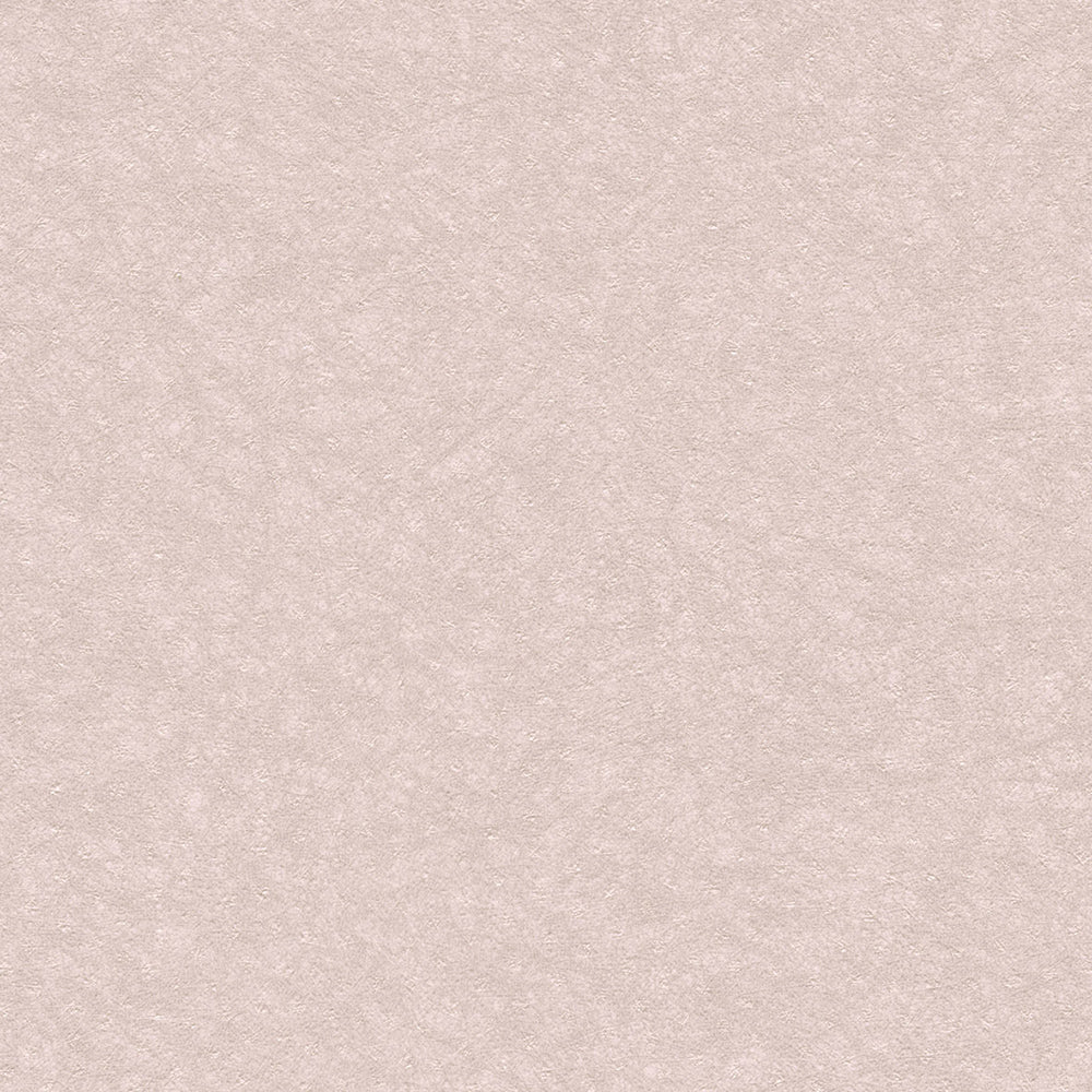 鮫小紋|LL6242~6246|サンプル