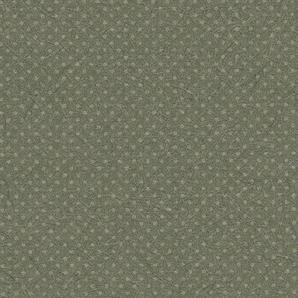 行儀|LL6247~6249|サンプル