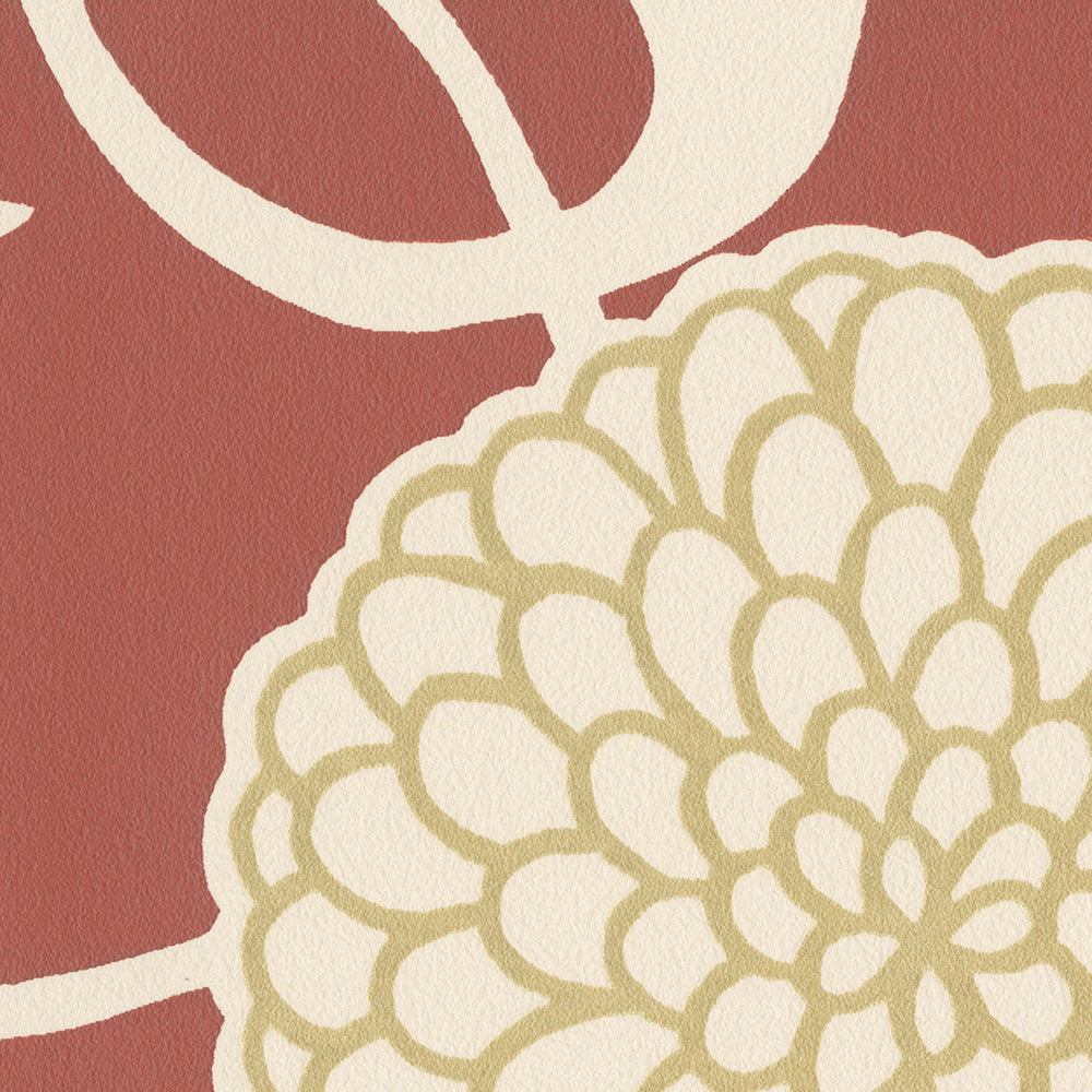 大菊|LL6250・6251|サンプル