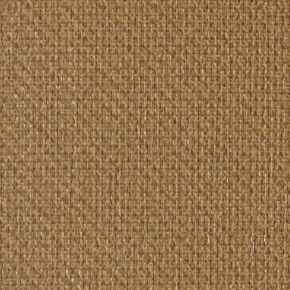 紙布|LL6279・6280|サンプル