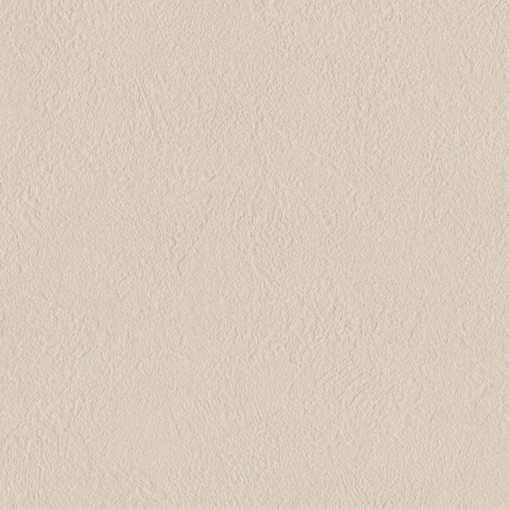 くすみカラー×シンプル|LL6429~6443|サンプル