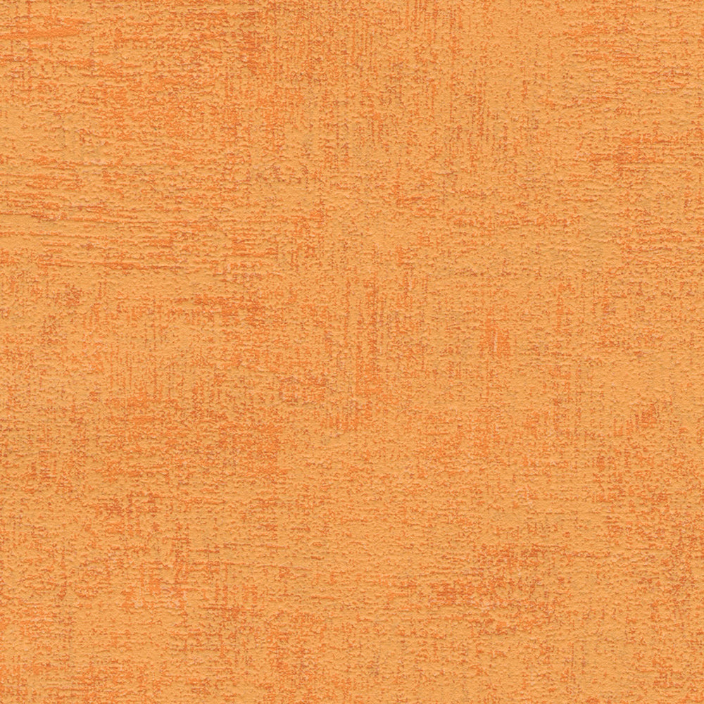 エネルギッシュカラー|LL6462~6464|サンプル