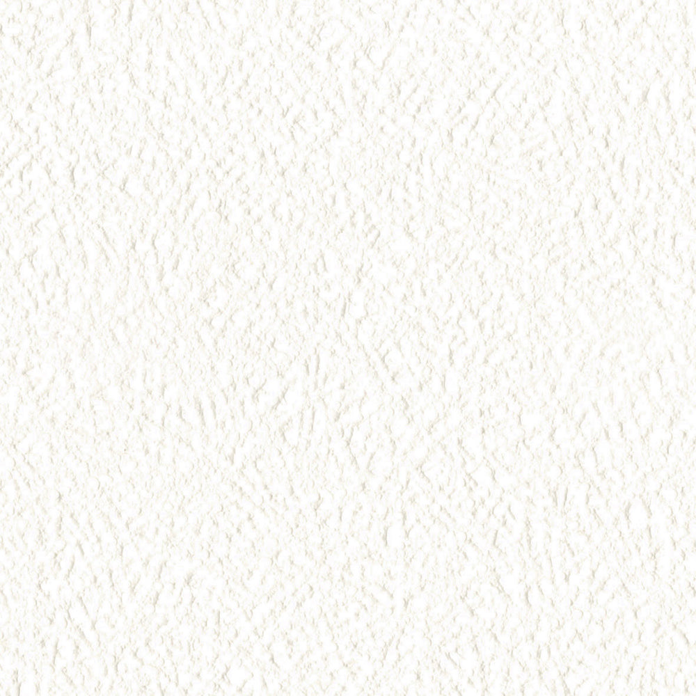 天井|LL6538|サンプル