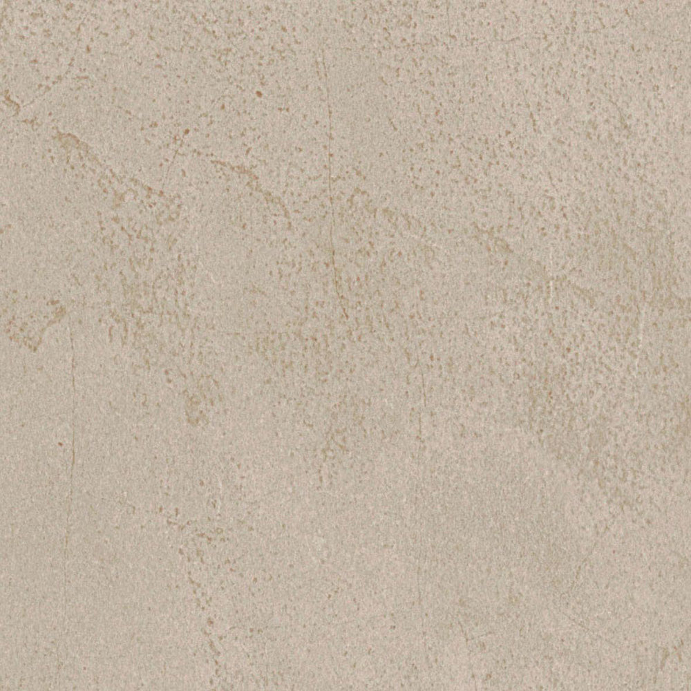 あたたかみのあるグレージュコンクリート|LL7255|サンプル