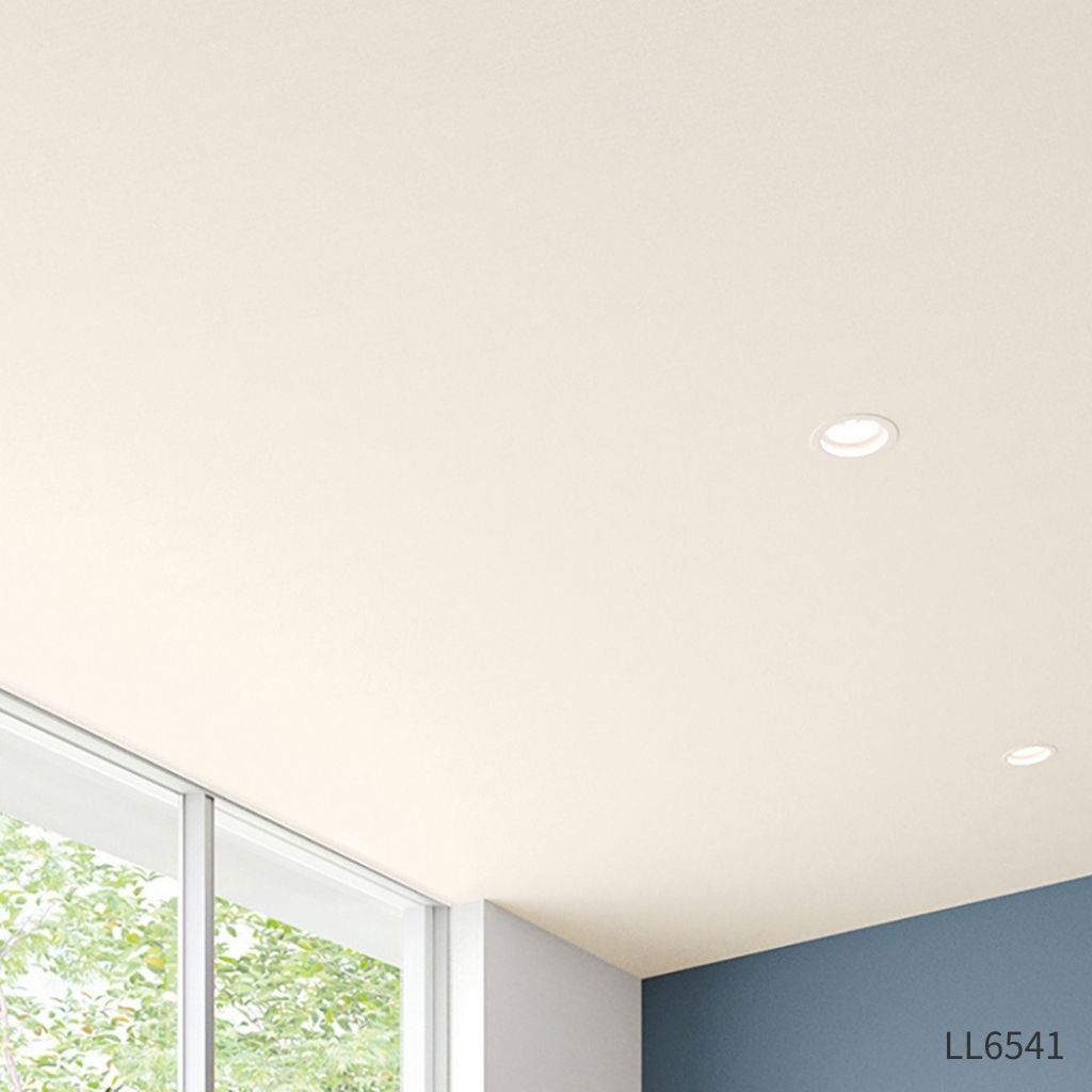 天井|LL6541|サンプル