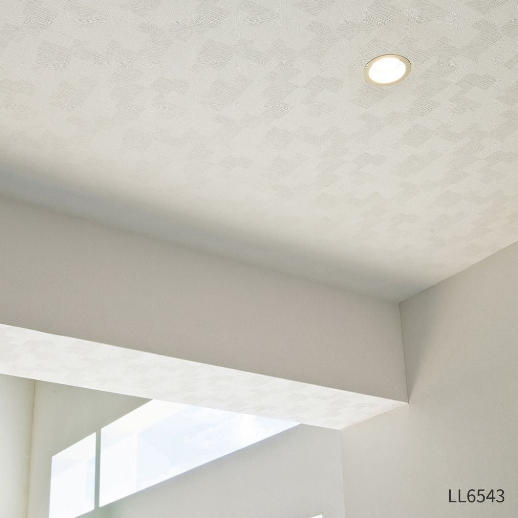 天井|LL6543|サンプル