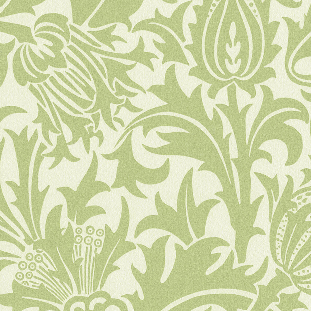 Thistle-シスル|LV2015・LV2016|サンプル