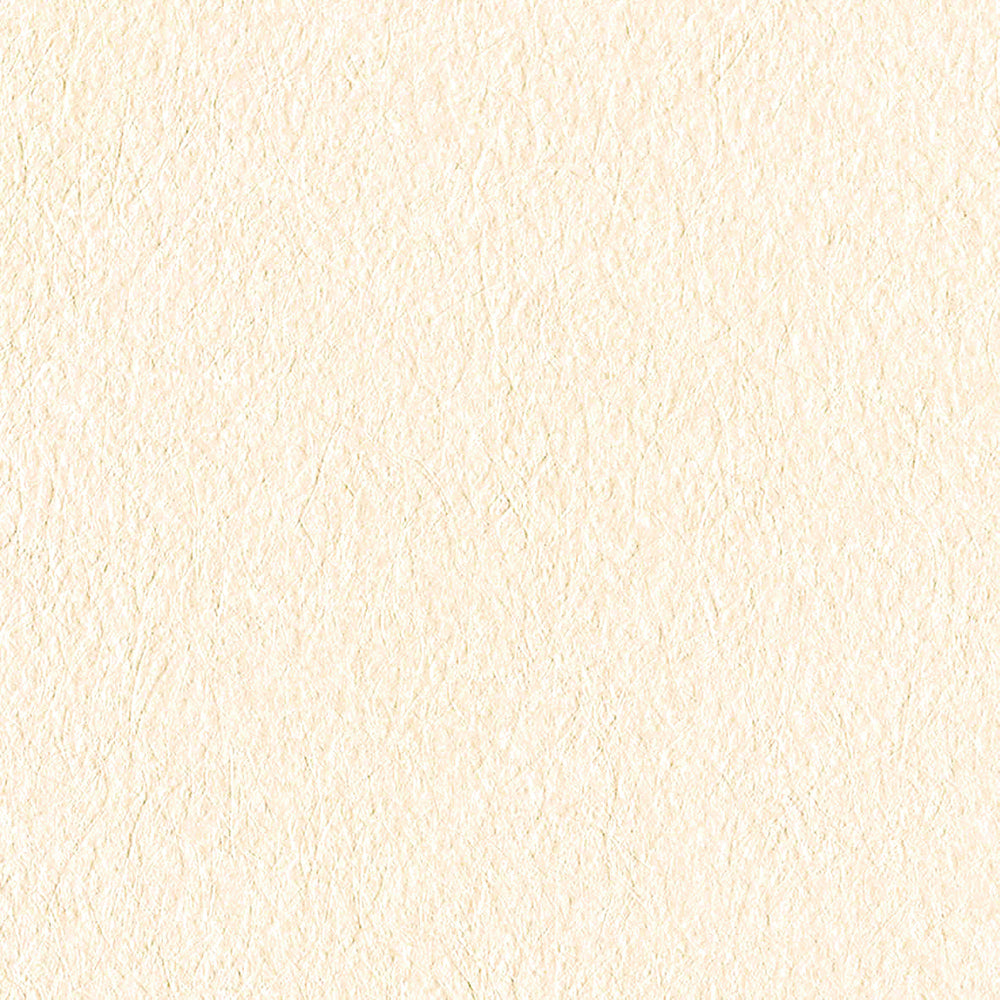 ビビットカラー|LV2130~LV2134|のり付き壁紙