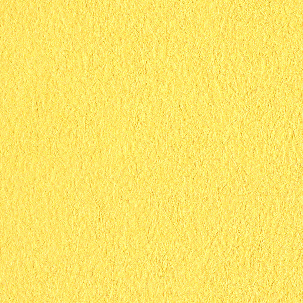 ビビットカラー|LV2130~LV2134|のり付き壁紙