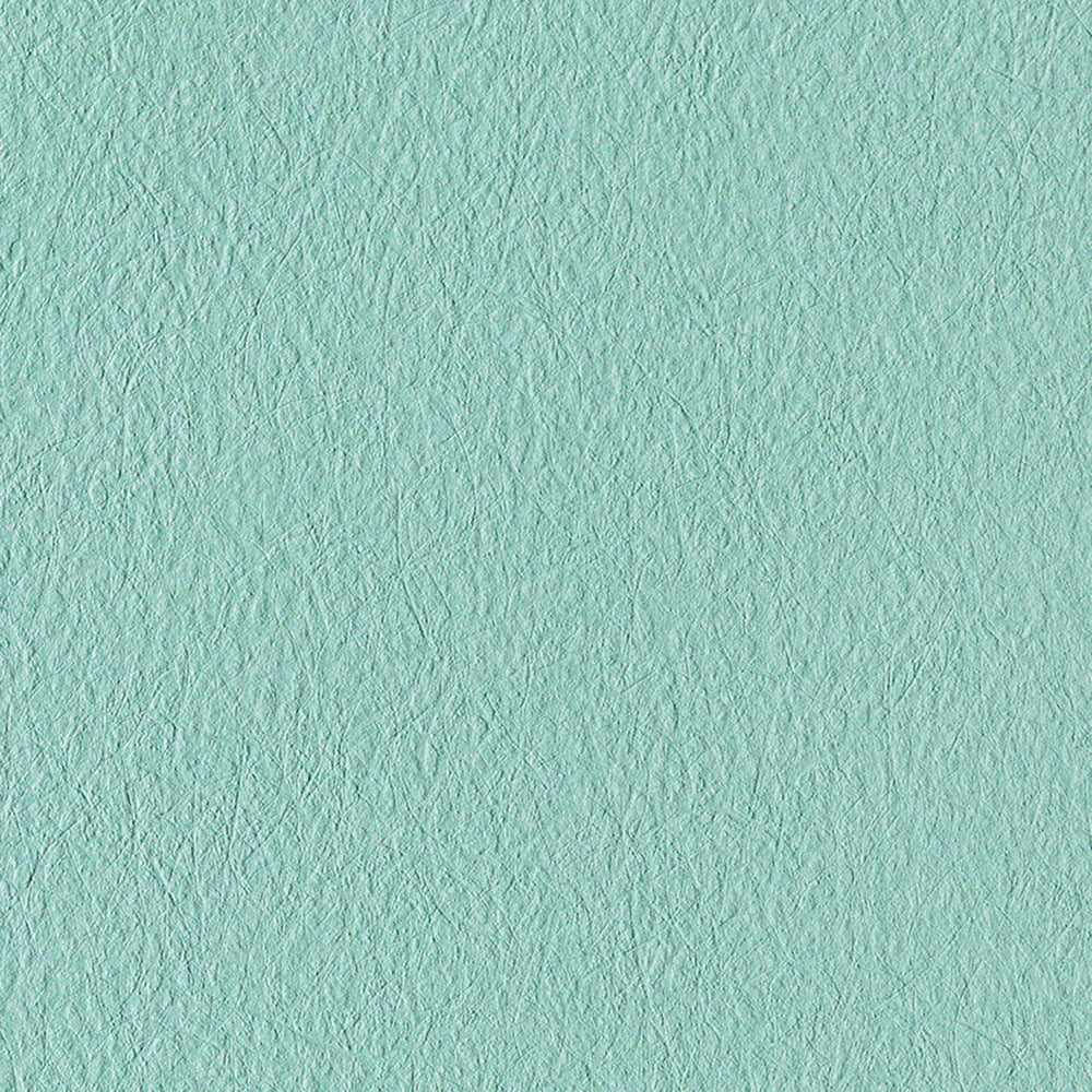 ビビットカラー|LV2130~LV2134|のり付き壁紙