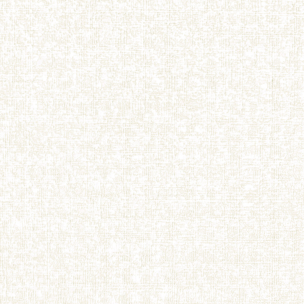 織物調壁紙(天井)|LV2249・LV2250|サンプル