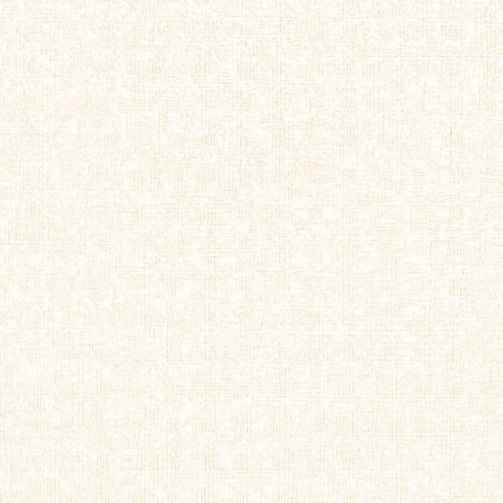 織物調壁紙(天井)|LV2249・LV2250|サンプル