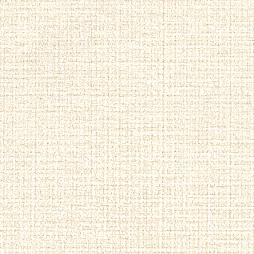 織物調壁紙(天井)|LV2253|サンプル