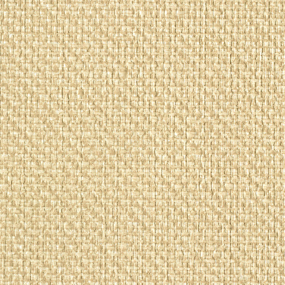 紙布|LV2450|サンプル