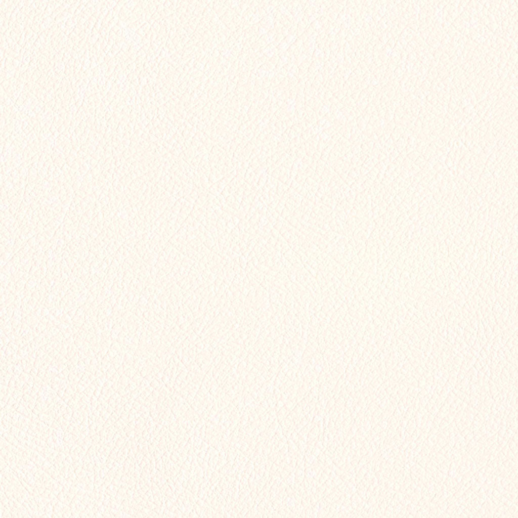 レザー|LW269・LW270|サンプル