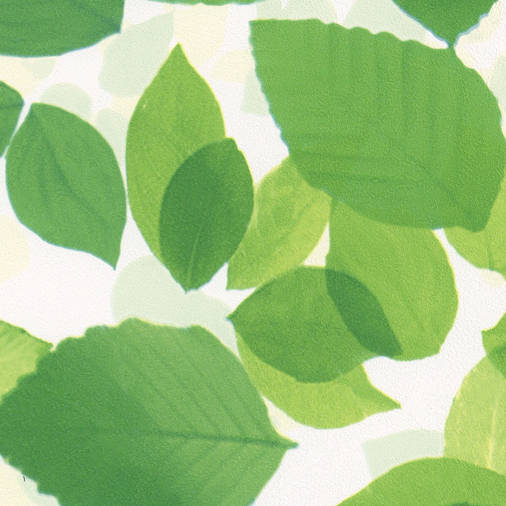 グリーンカーテン|LW315|のり付き壁紙