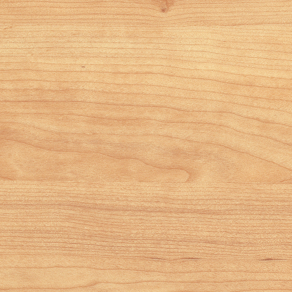 アメリカンチェリー<エルワイタイル>|サンプル