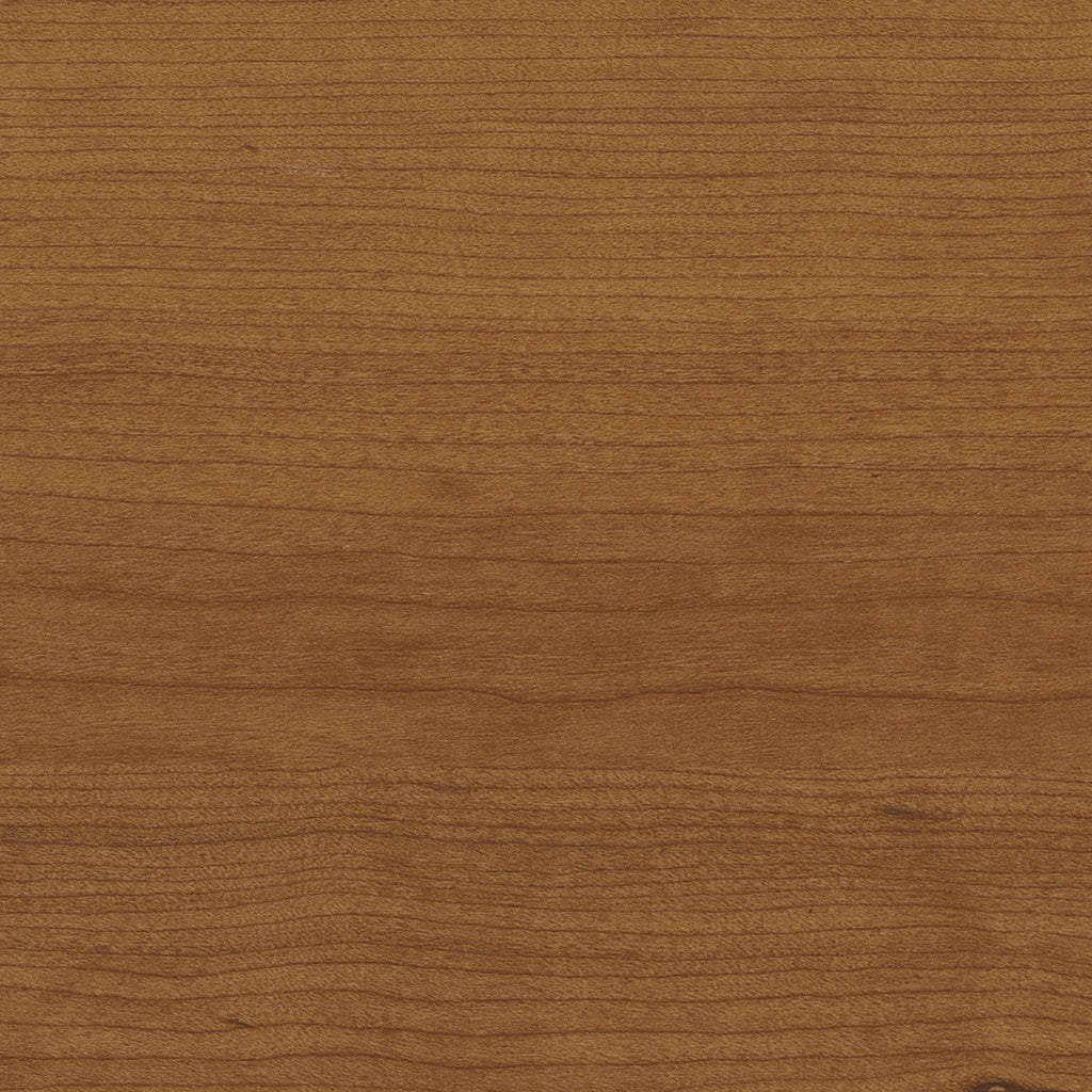 アメリカンチェリー<エルワイタイル>|サンプル