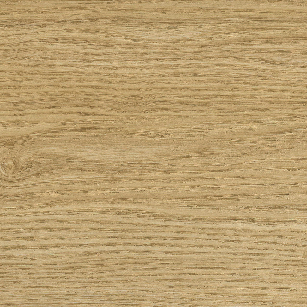 アッシュ<エルワイタイル>|サンプル