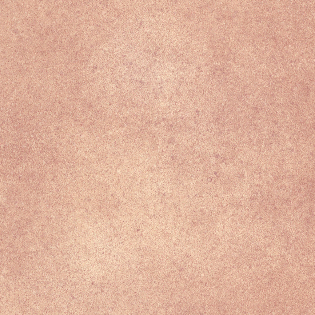 テラコッタ<エルワイタイル>|ケース売り(18枚入り 約3.76㎡分)|石目調