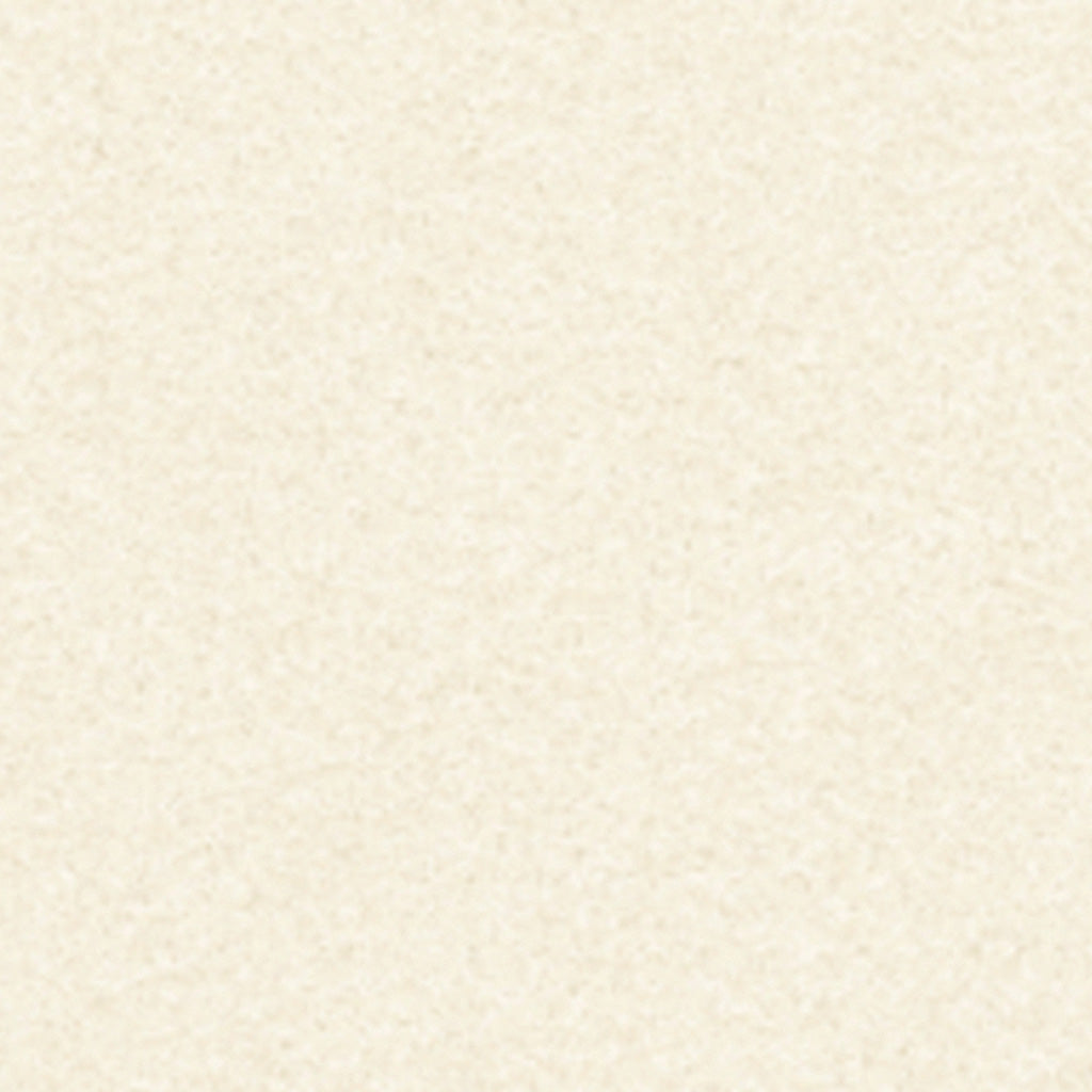 プリエ<エルワイタイル>|ケース売り(18枚入り 約3.29㎡分)|石目調