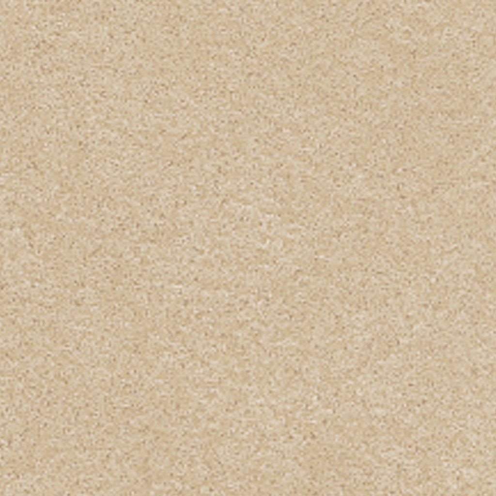 プリエ<エルワイタイル>|ケース売り(18枚入り 約3.29㎡分)|石目調