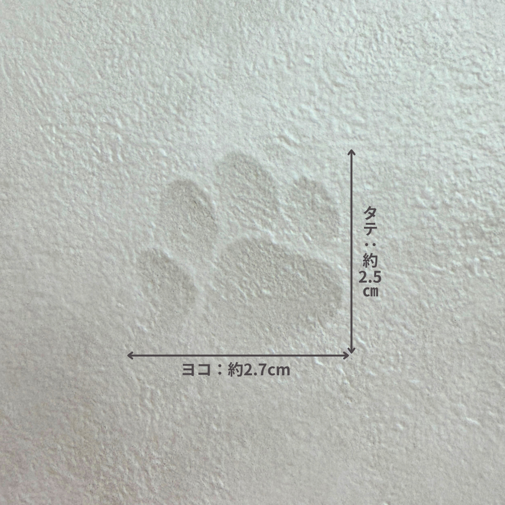 汚れ防止（ペット対応）｜LL6686｜サンプル