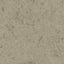 darkgray