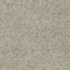 lightgray