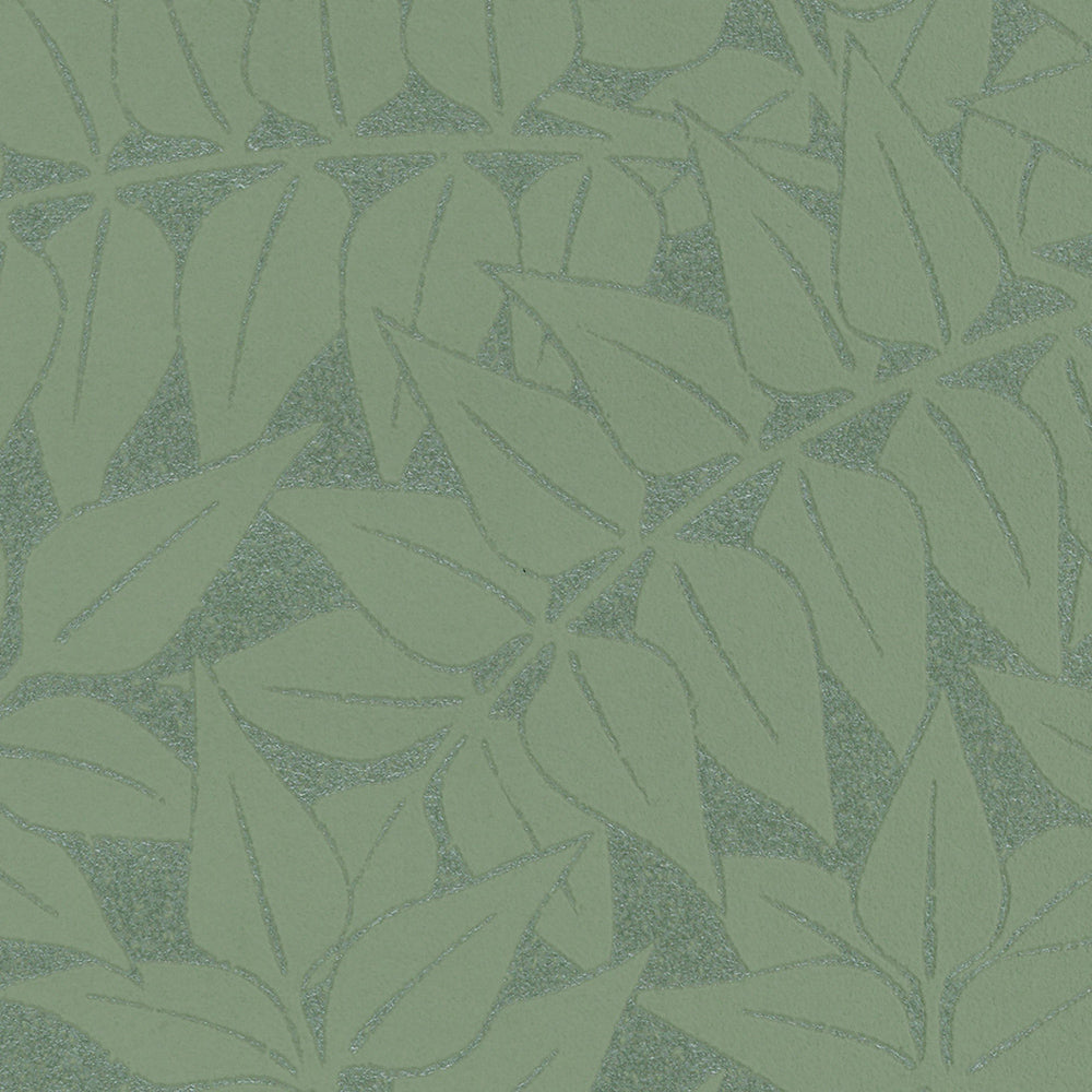 Branch ブランチ｜LW1663～1666｜サンプル