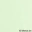 lightgreen