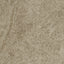 lightbrown